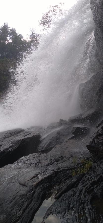 Winterhome Homestay Munnar Buitenkant foto