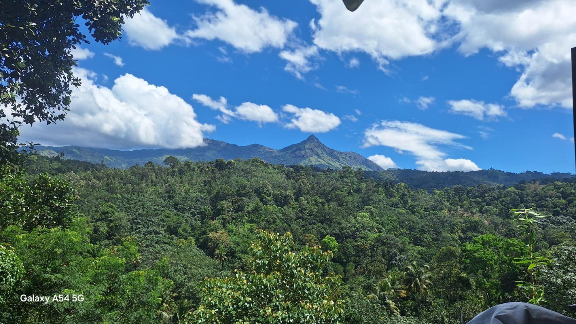 Winterhome Homestay Munnar Kamer foto